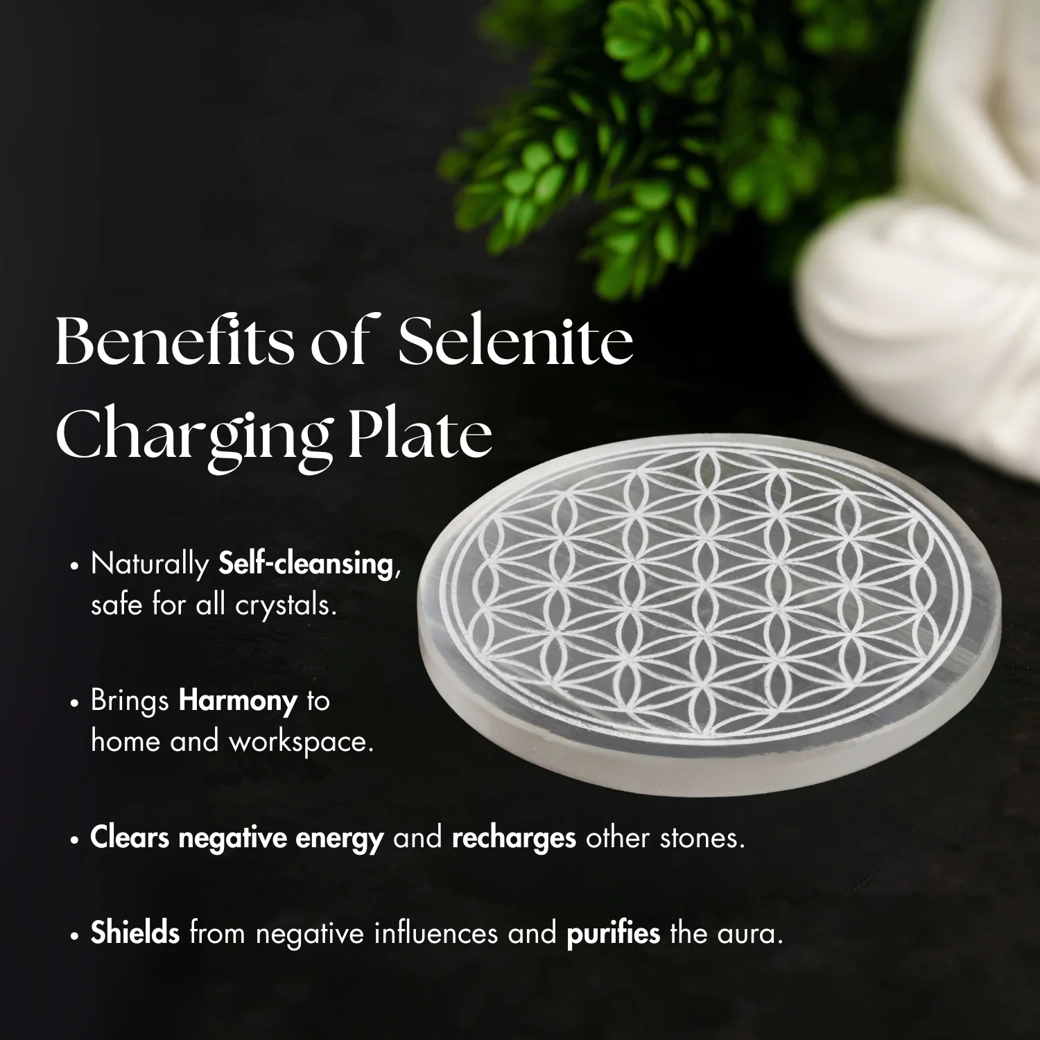 9 Chakra Selenite Charging Plate - Image 5