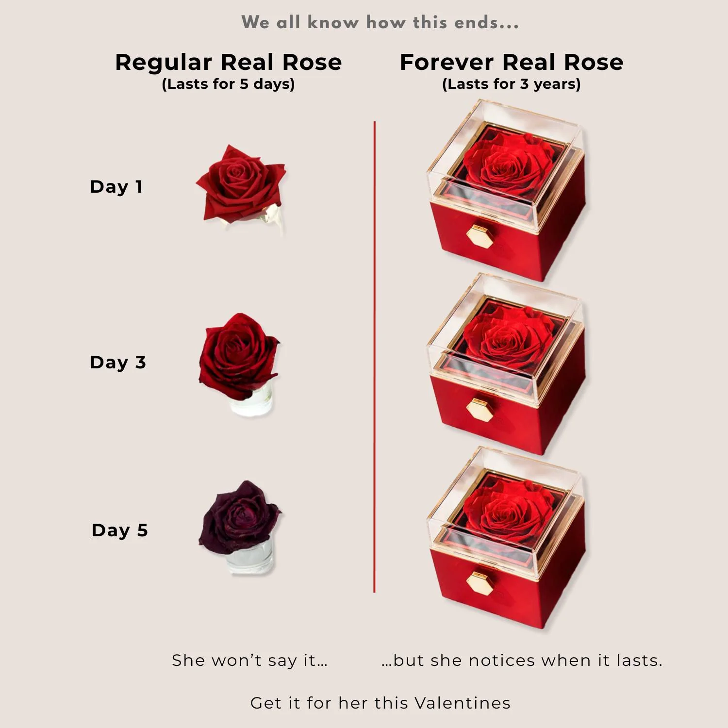Valentine's Rotating Rose Preserved Rose Jewellery Box With Necklaces - Image 34