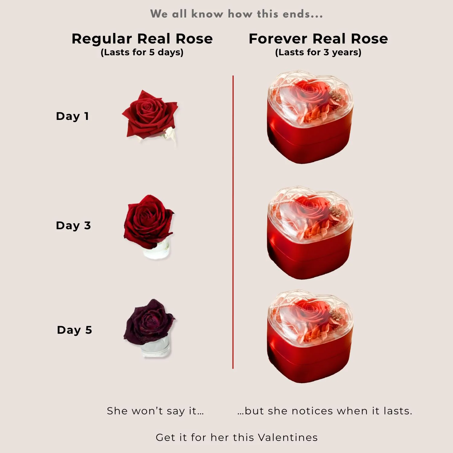 Valentine's Heart Shaped Preserved Rose Jewellery Box With Necklaces - Image 36